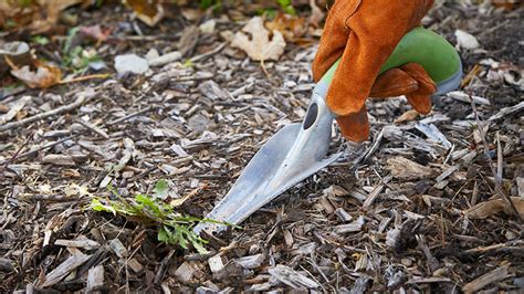 Adaptive Tools for Gardeners | Garden Gate