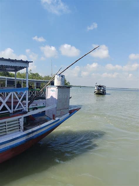 Landscape of Sundarban, a Mangrove Forest Area of the Eastern Part of ...