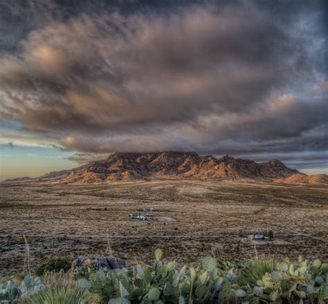 Rockhound State Park, a New Mexico State Park located near Deming