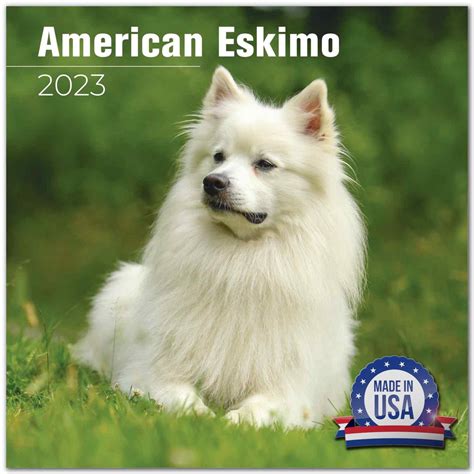 Are American Eskimo Dogs Good With Kids