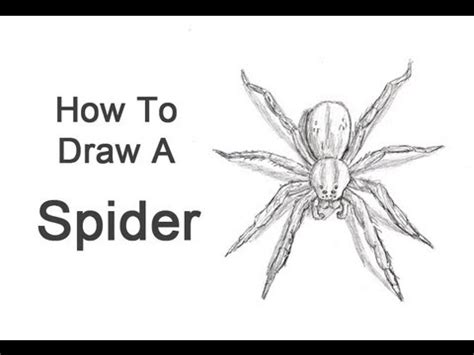 How to Draw a Spider - YouTube
