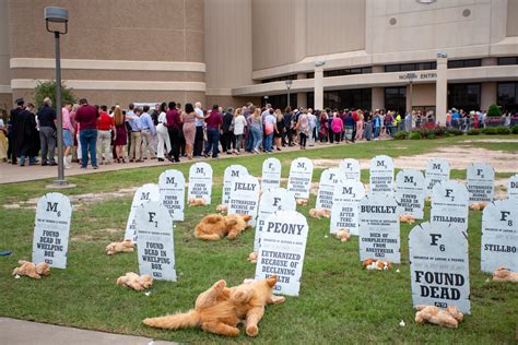 Dog Graveyard Haunts Texas A&M Graduation Ceremony | PETA