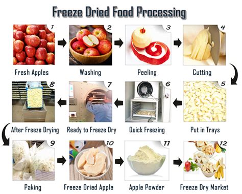 Working Principle of freeze drying