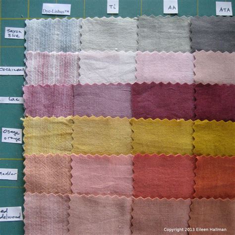 Mordant comparison. Natural dyes on cotton. | Eco printing, How to dye fabric, Natural dyes