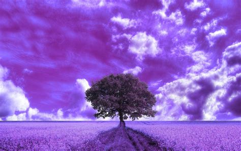 Purple Clouds Wallpapers - Top Free Purple Clouds Backgrounds ...