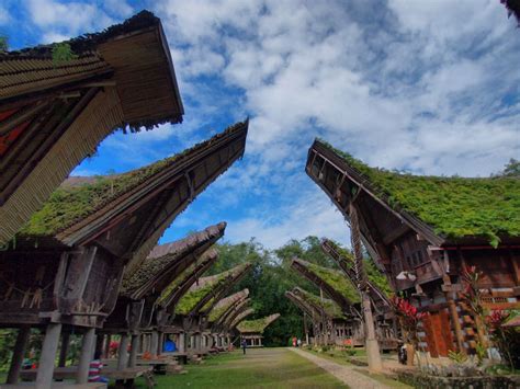 tana toraja houses, indonesia | Travel pictures, Indonesia, Vernacular ...