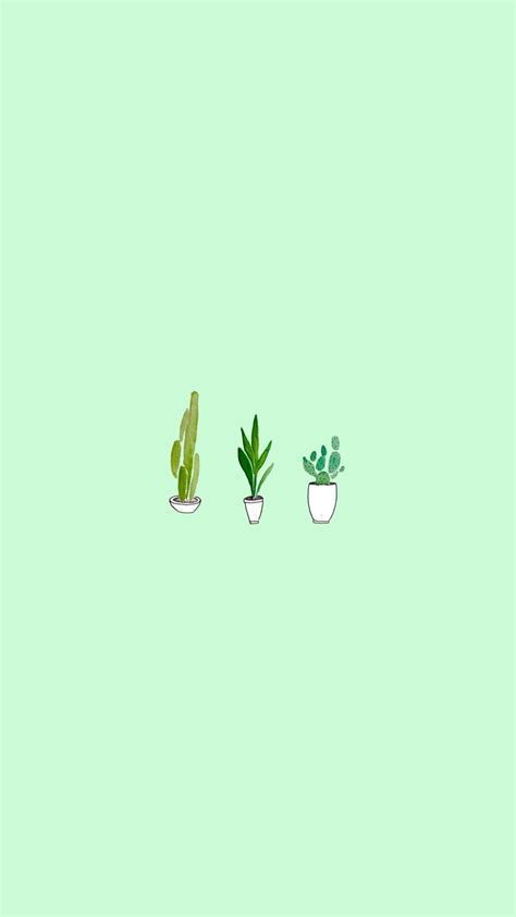 Green Aesthetic iPhone Wallpapers - Top Free Green Aesthetic iPhone Backgrounds - WallpaperAccess