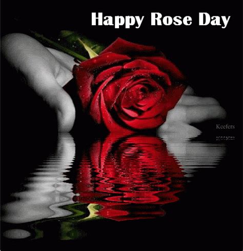 100+ Happy Rose Day GIFs, 3D Pics 2024 Download for GF & BF