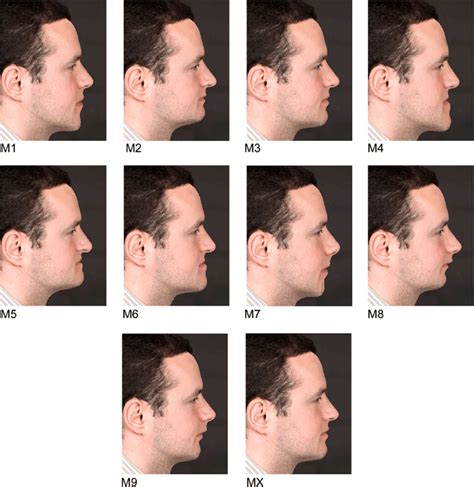 Male Face Profile