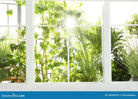 66,132 Beautiful Window Garden Stock Photos - Free & Royalty-Free Stock Photos from Dreamstime