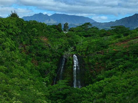 Opaekaa Falls Kauai Hawaii Photograph by Ken Smith