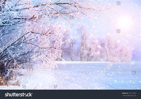 Beautiful Winter Landscape Scene Background Wit Stock Photo 573117097 ...