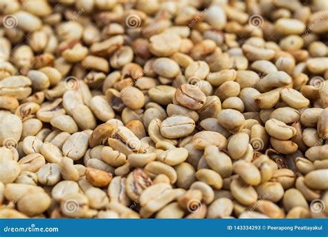 Natural Organic Green Coffee Beans Stock Image - Image of food, green ...