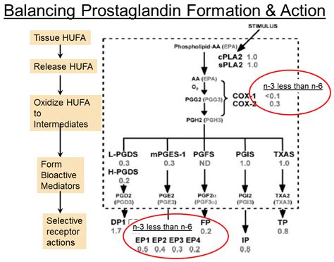 Eicosanoids act - efaeducation.org