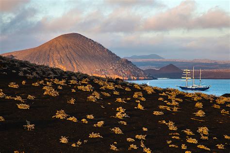 Galapagos 2020 - Wild Focus Expeditions