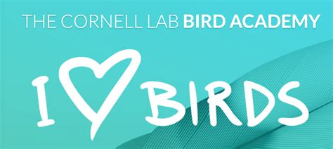 Win a free spot in a Cornell Lab Bird Academy course - eBird