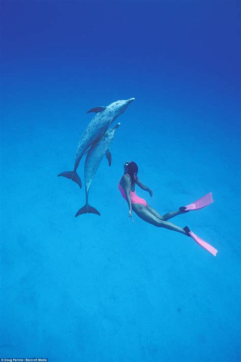 Dancing with dolphins: Stunning underwater photographs capture pro-swimmers as they come nose-to ...