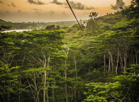 Koloa Zipline | Go Hawaii