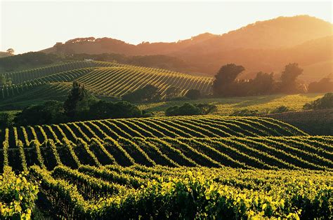 Wine Country Wallpapers - Top Free Wine Country Backgrounds - WallpaperAccess