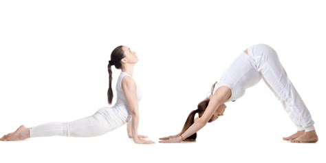 Balancing the Body with Upward Facing Dog & Downward Facing Dog - Yoga Pose