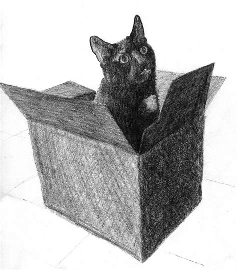 A black cat in a box sticking his head out of the box Drawing by Tim Murphy