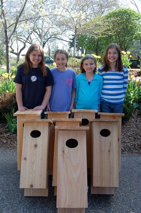 12 Girl Scout Junior Bronze Award project ideas | Girl Scouts | Pinterest | Shelters, The games ...