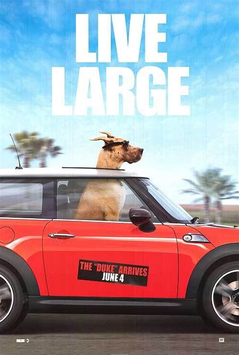 Marmaduke (2010) Movie Reviews - COFCA