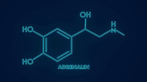 Adrenaline Chemical Hormone Visceral Body Stock Motion Graphics SBV ...