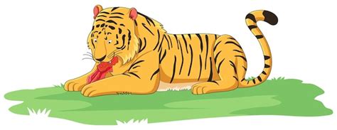 Premium Vector | Tiger eating meat