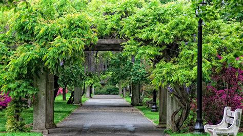 Brooklyn Botanic Garden – Park Review | Condé Nast Traveler