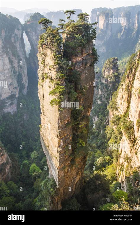 Avatar Hallelujah mountain in the Wulingyuan national park, China Stock ...