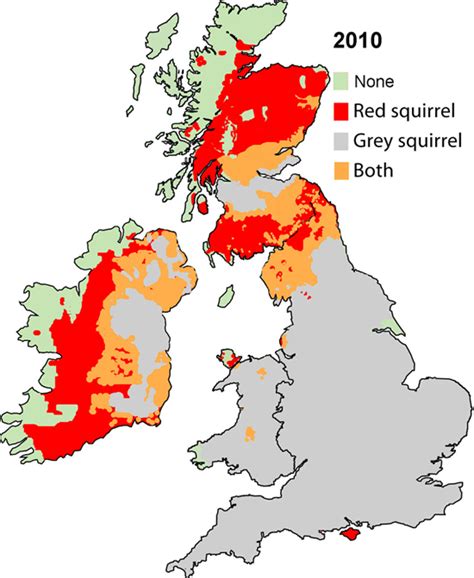 » Red squirrel conservation