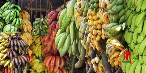 Phot.India.Kerala.Bananas.01.050512.0007.jpg | India, Kerala… | Flickr