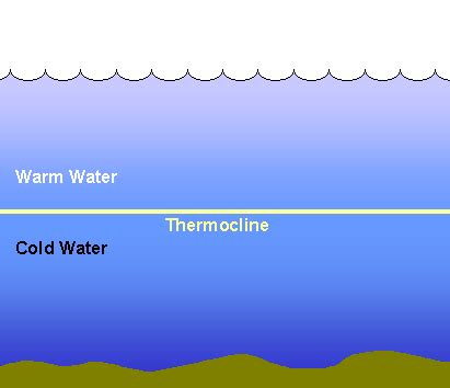 Thermocline