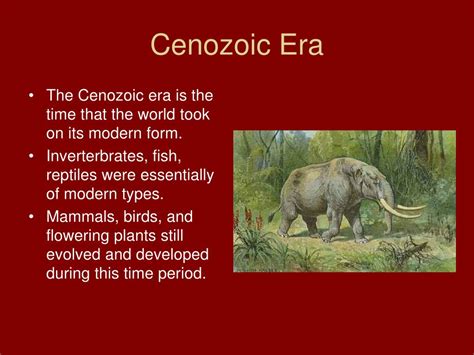 Cenozoic Era Facts | Hot Sex Picture