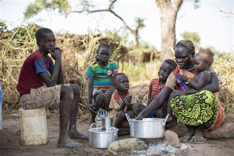 Sudan: Five years on, refugees still fleeing conflict in South Kordofan, UN reports | Africa Renewal