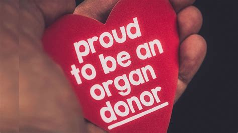 40 World Organ Donation Day Messages, Quotes & Greetings