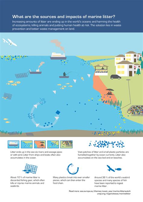 Marine Debris Infographic