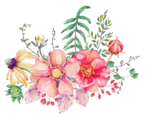 Rose Painting Watercolor, Watercolor Projects, Easy Watercolor, Flower Painting, Botanical ...