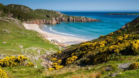 Are Dogs Allowed On Beaches In Scotland