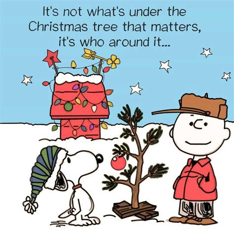 Pin by Cindy Harmon on Merry Christmas to You | Snoopy christmas decorations, Snoopy christmas ...