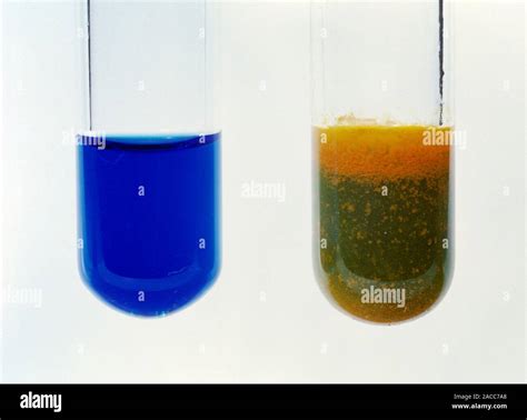 Fehling's reaction. Fehling's reagent (blue, left) reacts with aldehydes (such as ethanal ...