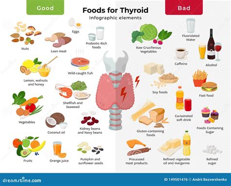 Elementi Infographic Di Nutrizione Della Tiroide Alimenti Per L'icona ...