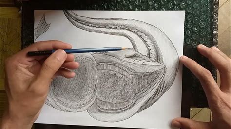 Drawing The Bloop VS El Gran Maja / pencil drawing - YouTube