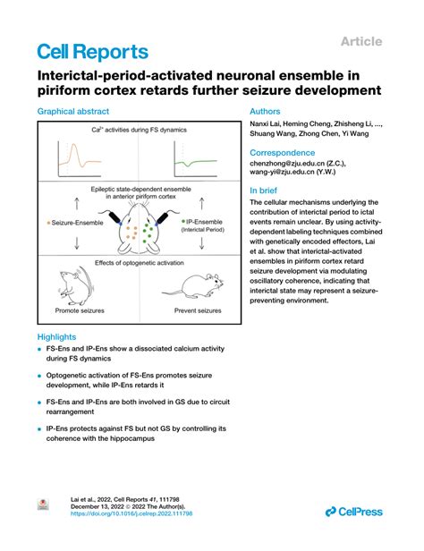 (PDF) Interictal-period-activated neuronal ensemble in piriform cortex retards further seizure ...