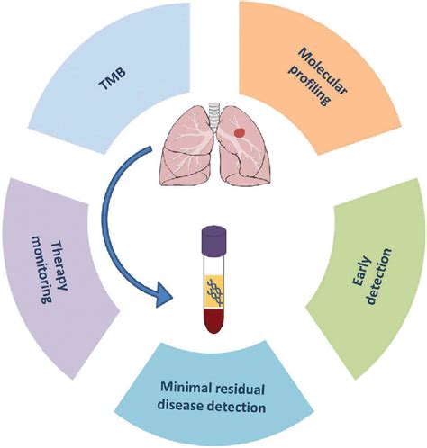 Current and future applications of cfDNA testing in the management of ...