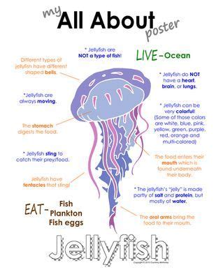 My All About Jellyfish Book - Ocean Animal Unit Study from Courtney McKerley on http ...