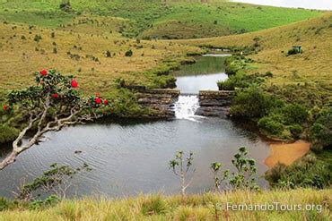 Horton Plains & World's End - Fernando Tours Sri Lanka