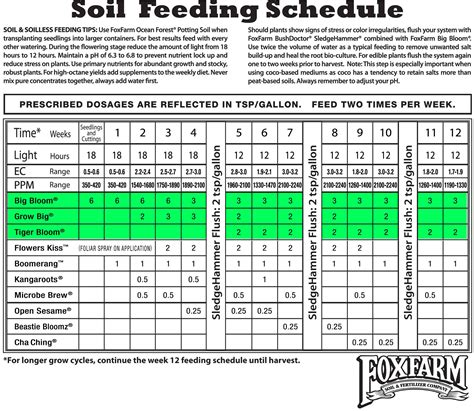 Fox Farm Feeding Schedule | Examples and Forms