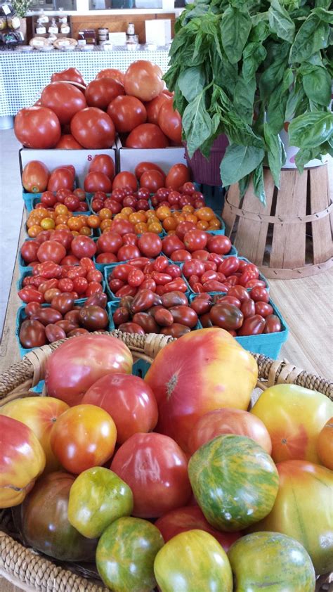 Farm Fresh Tomatoes